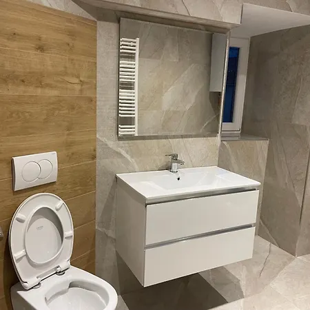 Luxury Apartment